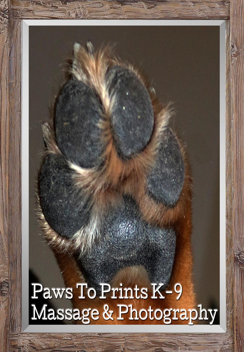 Paws To Prints K-9 Massage & Photography